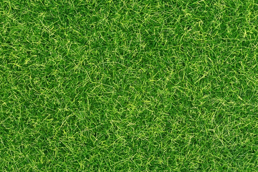 Top view of synthetic turf grass